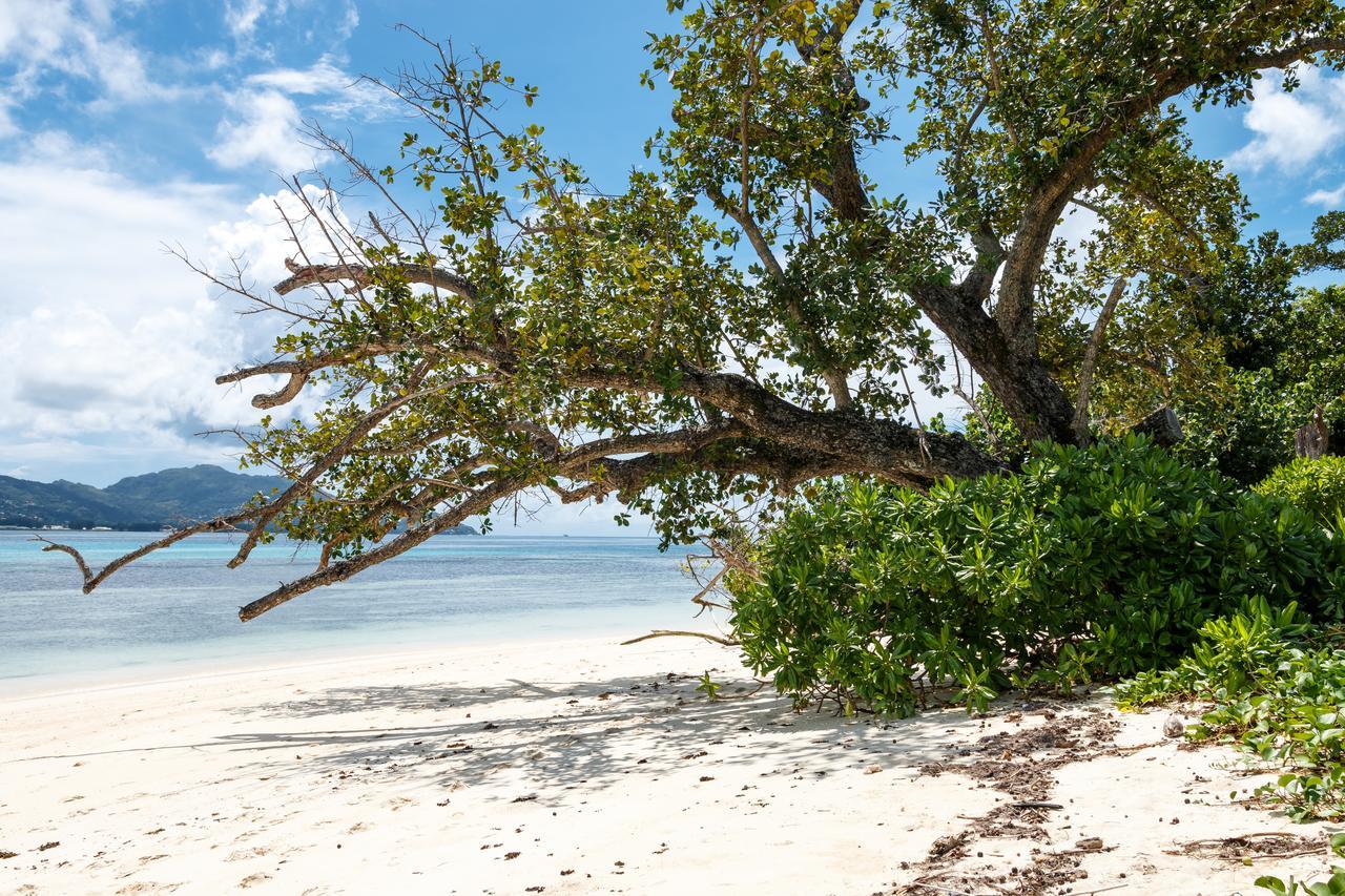Surf Tropical Villa Seascape Серф Экстерьер фото